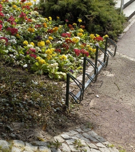 «Je jardine ma ville» : les riverains s'engagent pour fleurir les trottoirs