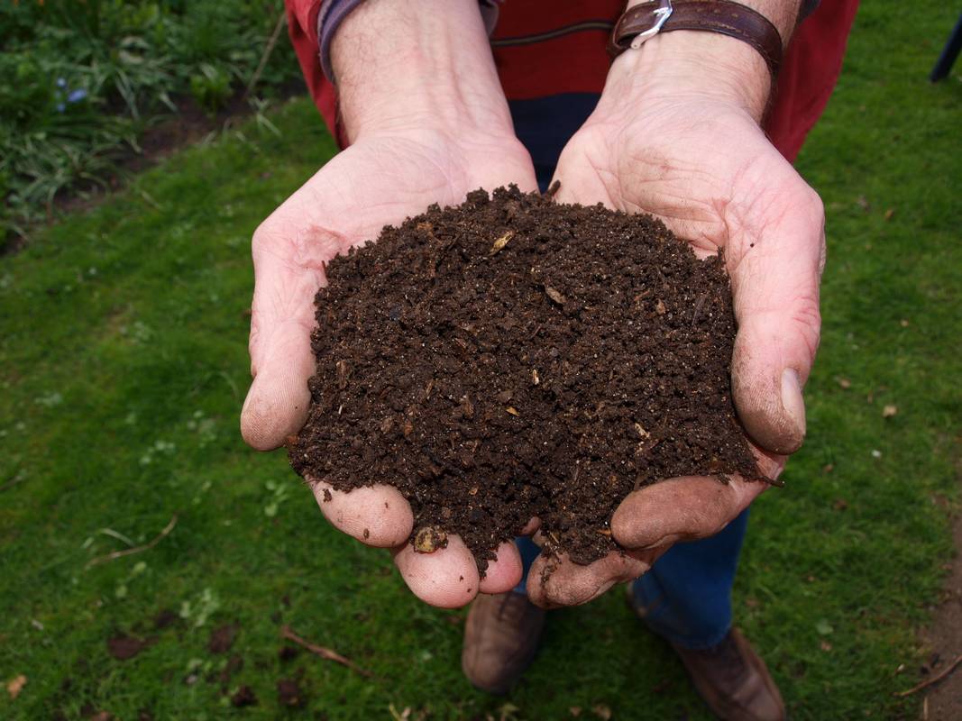 La qualité du thé de compost est le reflet du compost utilisé. © Sabine Huet