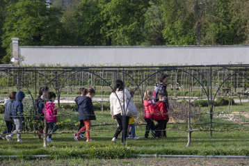Lire :Le Potager du Roi à Versailles cultive aussi les élèves !