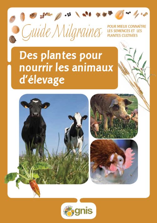 Lire :Des plantes pour nourrir les animaux d’élevage
