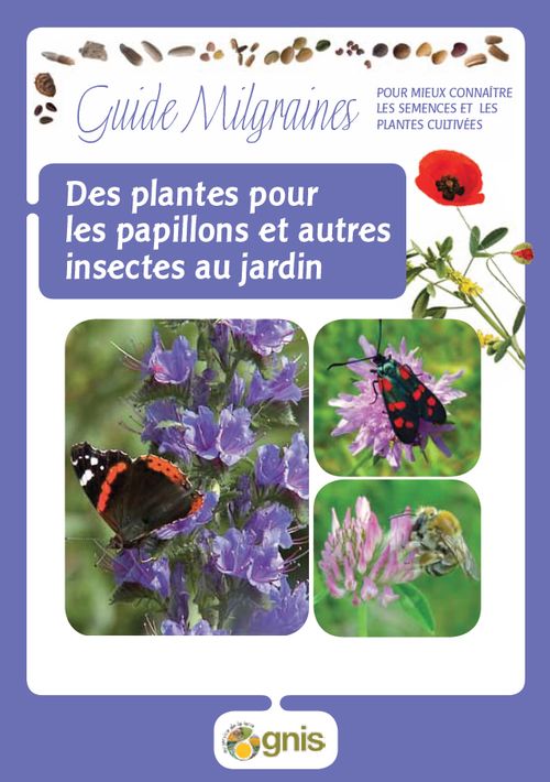 Lire :Des plantes pour les papillons et autres insectes au jardin