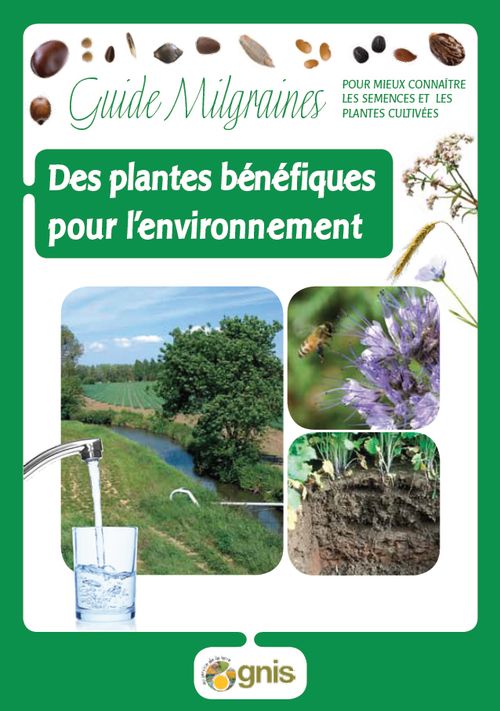 Lire :Des plantes bénéfiques pour l'environnement