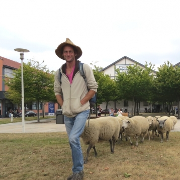 Lire :Faire pâturer des moutons dans les espaces verts