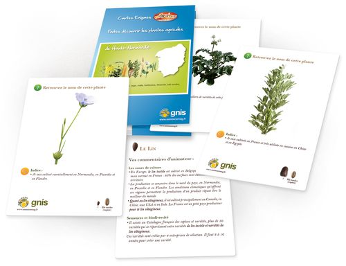 Lire :Faites découvrir les plantes agricoles de Haute-Normandie