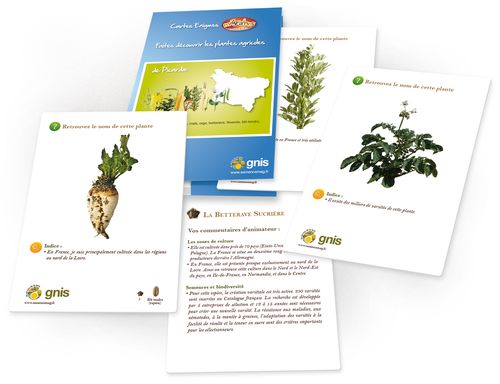 Lire :Faites découvrir les plantes agricoles de Picardie