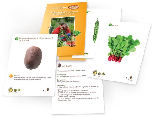 Lire :Faites découvrir les semences et les plantes potagères