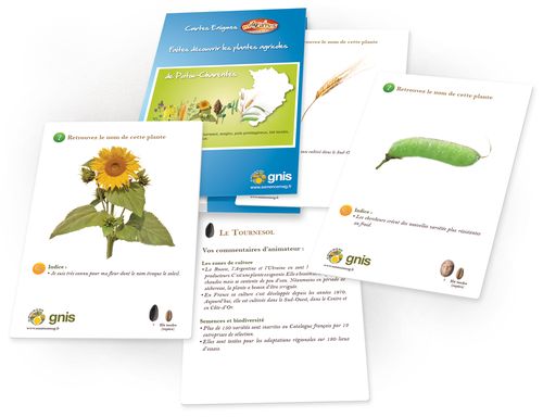 Lire :Faites découvrir les plantes agricoles de Poitou-Charentes