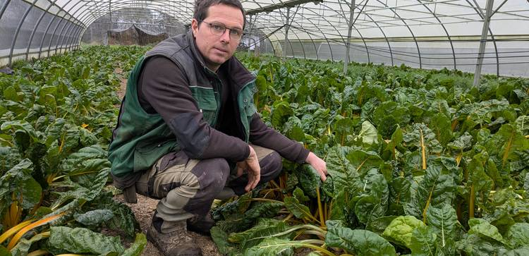 Portrait d'un agriculteur multiplicateur