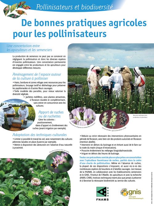 Lire :Pollinisateurs et biodiversité - De bonnes pratiques agricoles pour les pollinisateurs
