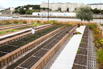 Lire :L'agriculture urbaine redessine les villes