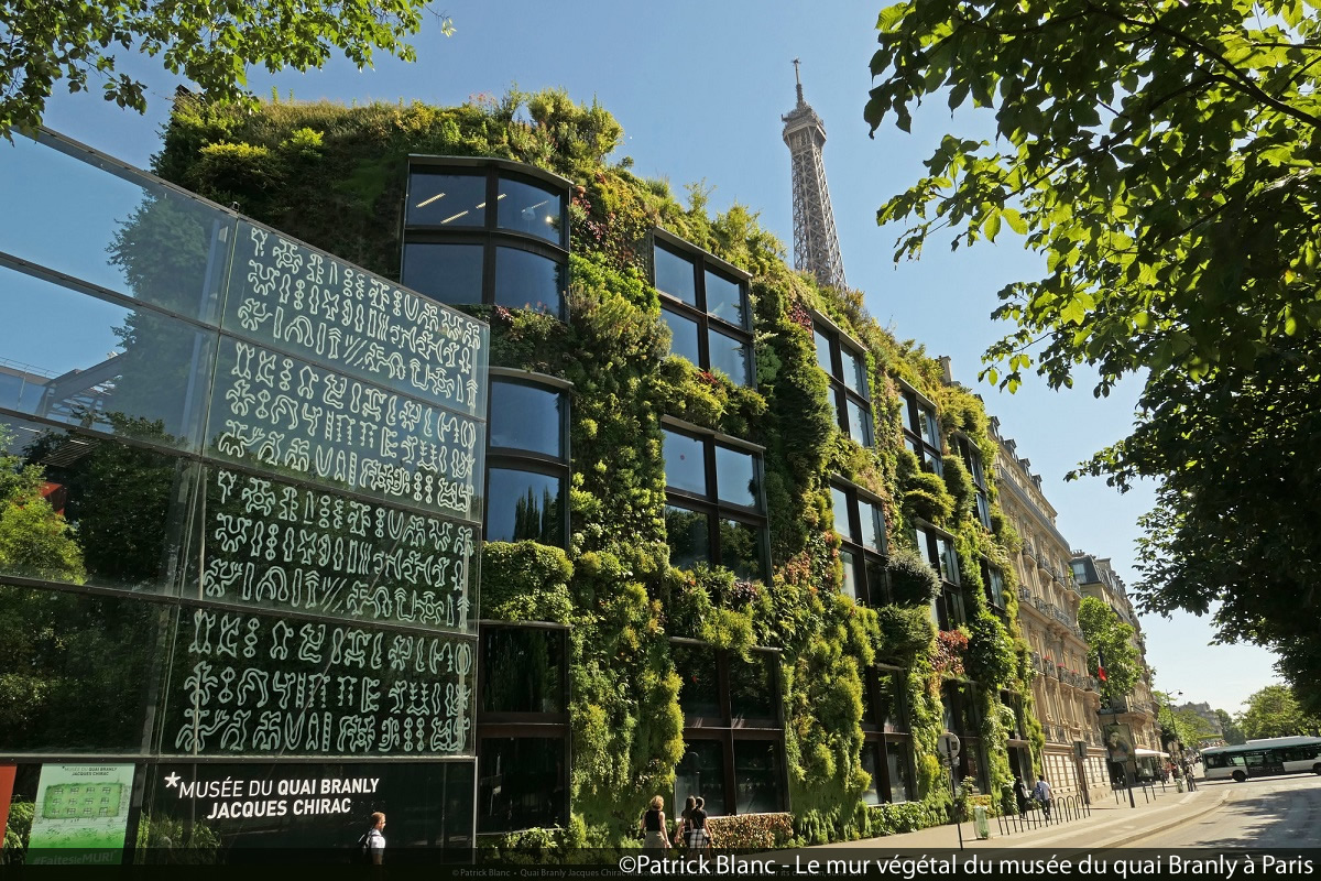 Le mur végétal du musée du quai Branly à Paris 2 © Patrick Blanc