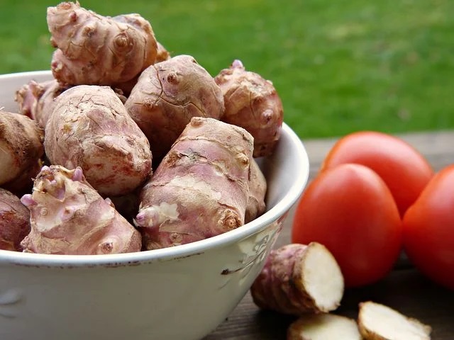 Le topinambour au goût subtil d'artichaut vaut bien un peu de temps d'épluchage ! © Pixabay